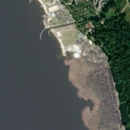 Satelita