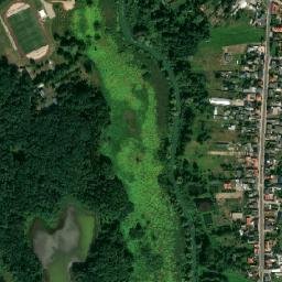Satelita