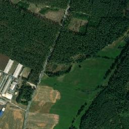 Satelita