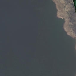 Satelita