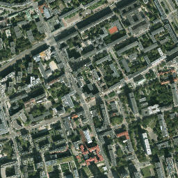 Wola map(satellite map)