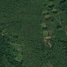 Satelita