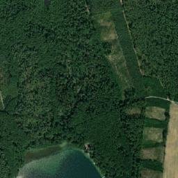 Satelita