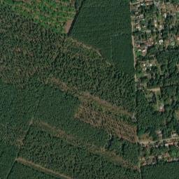 Borkheide map(satellite map)