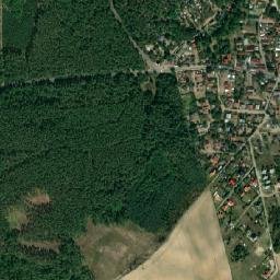 Satelita