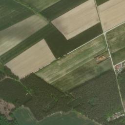Satelita