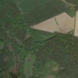 Satelita
