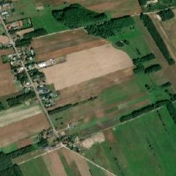 Satelita