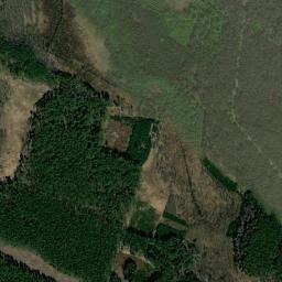 Satelita
