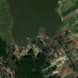 Satelita