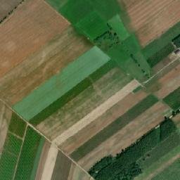 Satelita