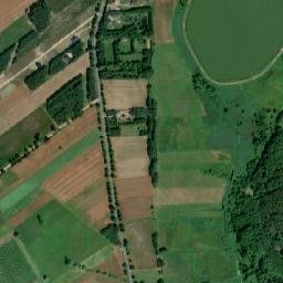 Satelita