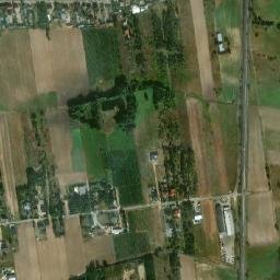 Satelita