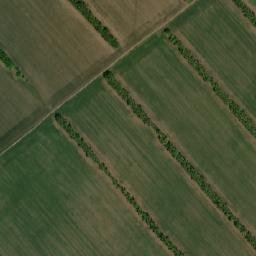 Novichikhinskiy Rayon map(satellite map)