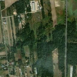 Satelita
