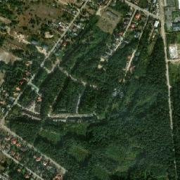 Satelita