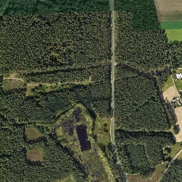 Satelita