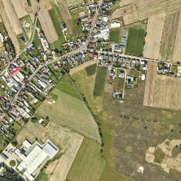 Satelita