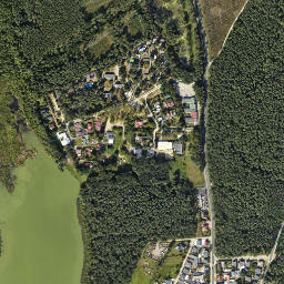 Satelita