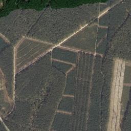 Satelita