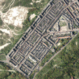 Duindorp map(satellite map)