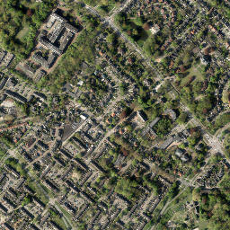 Nijenheim map(satellite map)