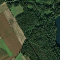 Satelita