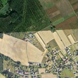 Satelita
