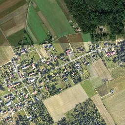 Satelita