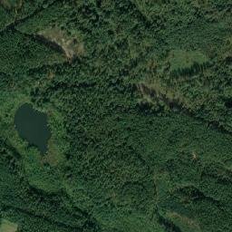 Satelita
