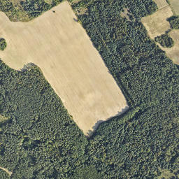 Satelita