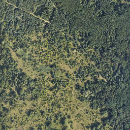 Satelita
