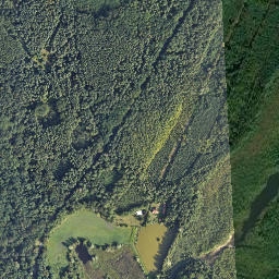 Satelita