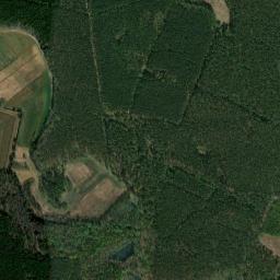 Satelita