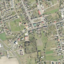 Rychwał map(satellite map)