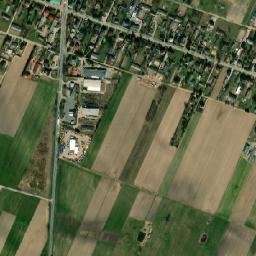 Wiśniew map(satellite map)