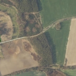 Satelita
