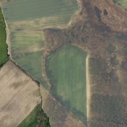 Satelita
