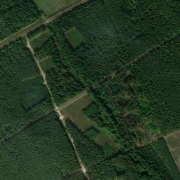 Satelita