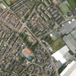 Monster map(satellite map)