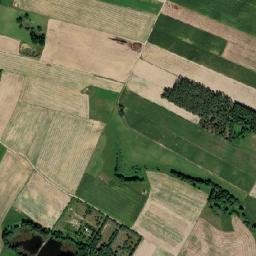 Satelita