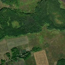 Tokarevskiy Rayon map(satellite map)