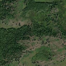 Shilkinskiy Rayon map(satellite map)