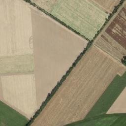 Satelita