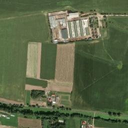 Satelita