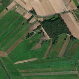 Satelita