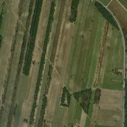 Powiat bialski map(satellite map)