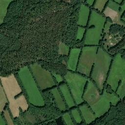 Satelita
