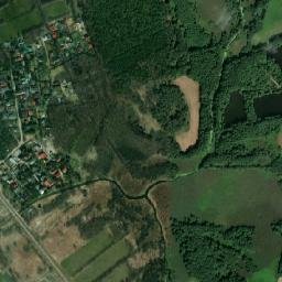 Satelita