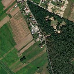 Satelita